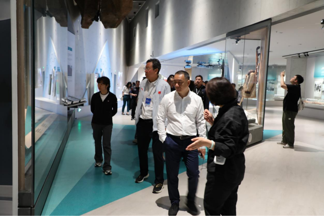 ȫ���׸�������������չ�ڳ���չ��