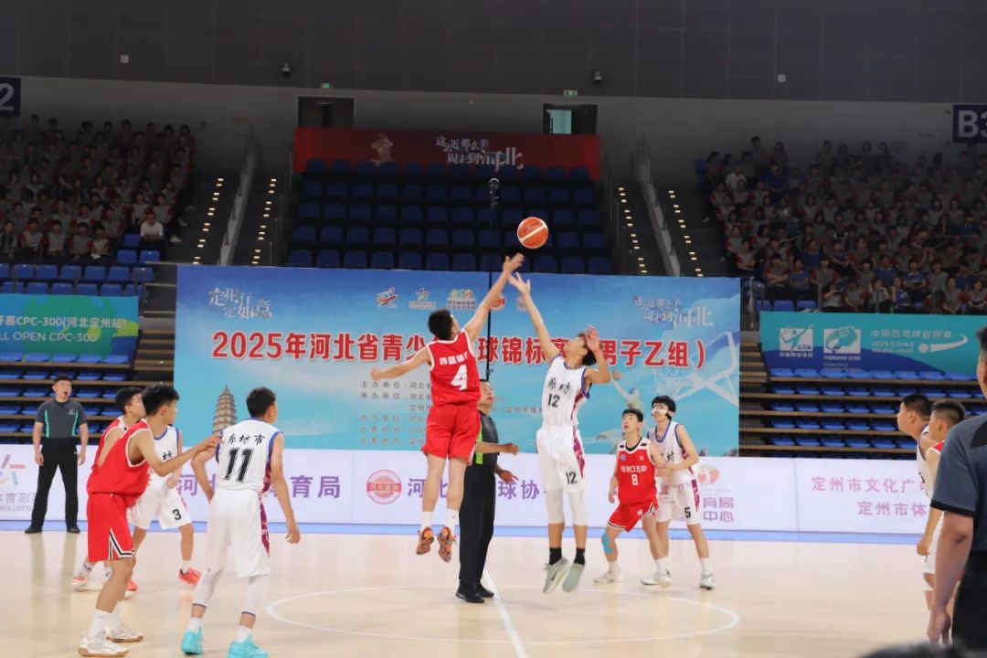 2025��ӱ�ʡ������������������������飩���鿪��