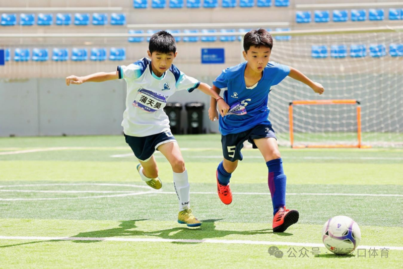 2025��ӱ�ʡ����������������ῪĻ