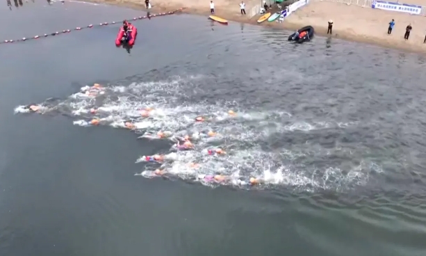 2025��ӱ�ʡ�����������������������ɽ����