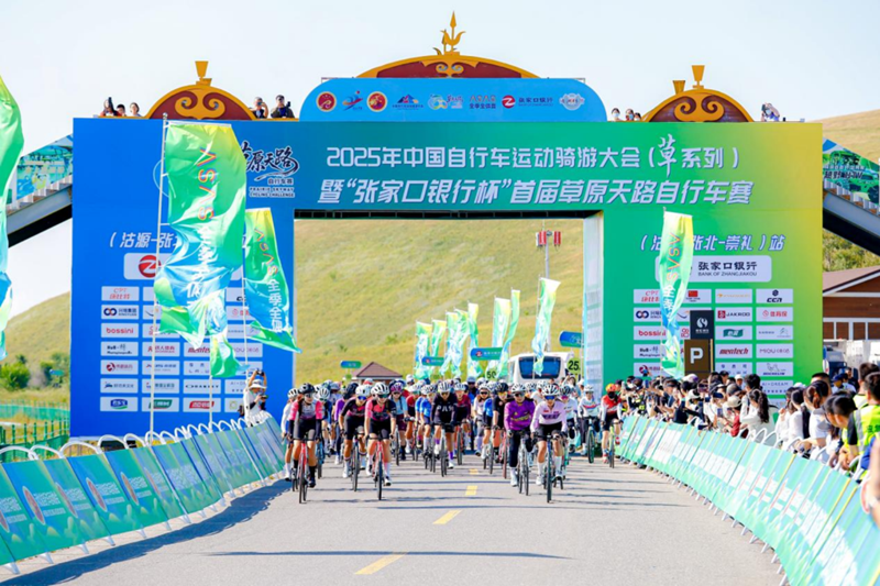 �׽��ԭ��·���г����ڶ����ο���ǧ�ﾺ���Դ��������̬����