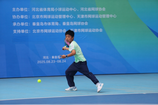 2025�꾩������������������Բ���չ�